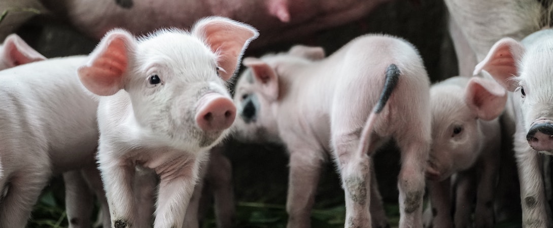 Photo by Kameron Kincade on Unsplash