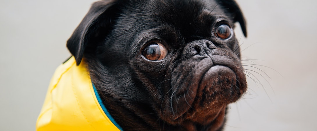 Photo by Charles Deluvio on Unsplash