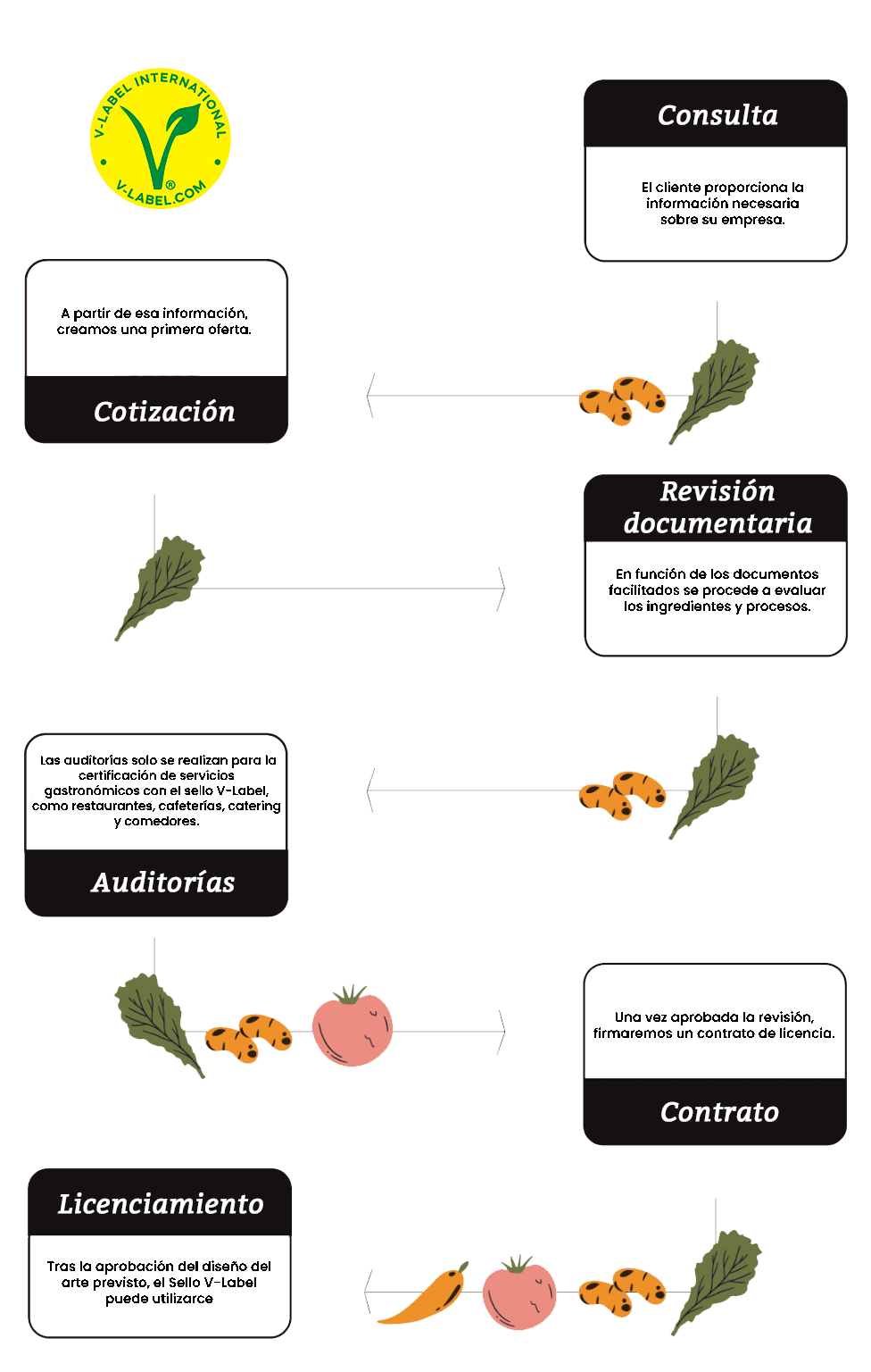 proceso certificación final